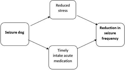 Evaluating the Effectiveness and Cost-Effectiveness of Seizure Dogs in Persons With Medically Refractory Epilepsy in the Netherlands: Study Protocol for a Stepped Wedge Randomized Controlled Trial (EPISODE)